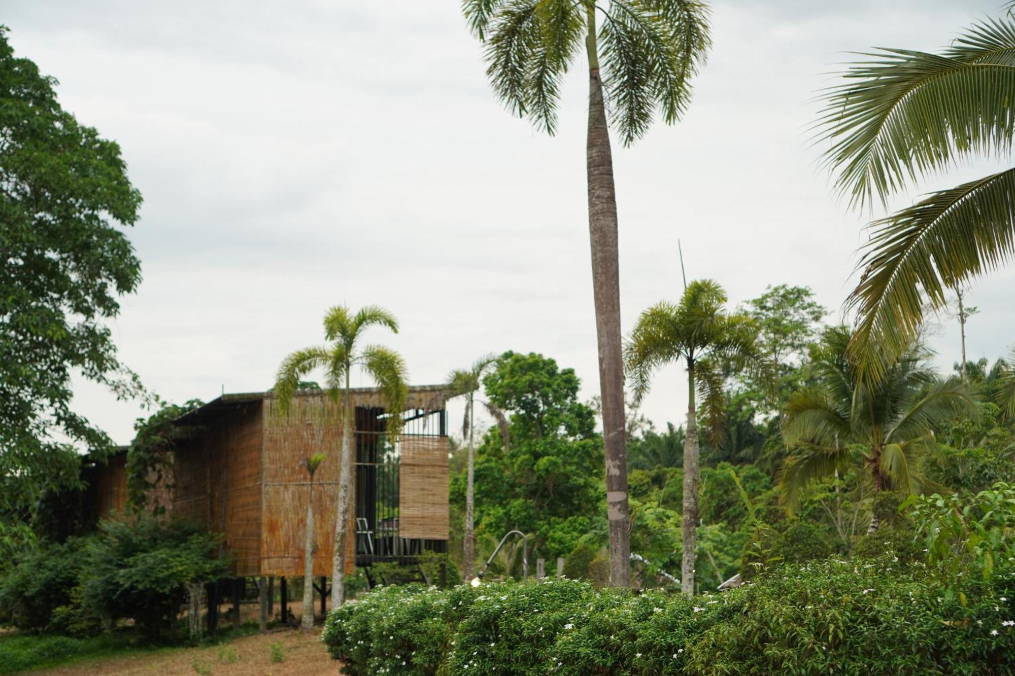 Ban Pha Saeng Lang Chiewlan Camp And Resort מראה חיצוני תמונה